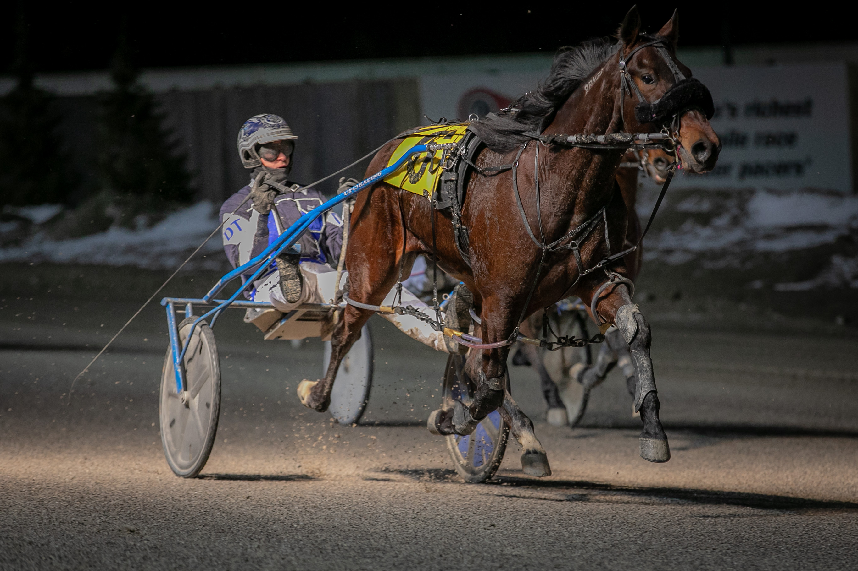 Michael Carter’s Western Fair Selections: Wednesday, February 17, 2021