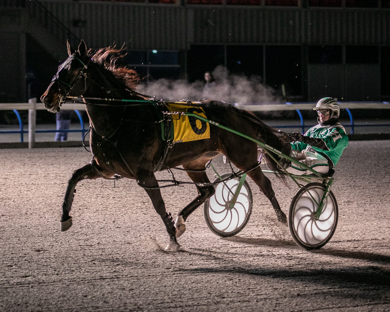 Garnet Barnsdale’s Flamboro Downs Selections: Tuesday, December 1, 2020