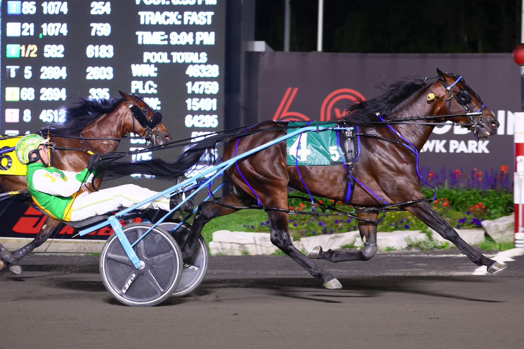 Stockade Seelster Records New Career Best in OSS Gold Win