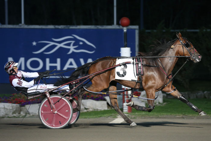 Gold fillies sparkle on four-win night for McNairs
