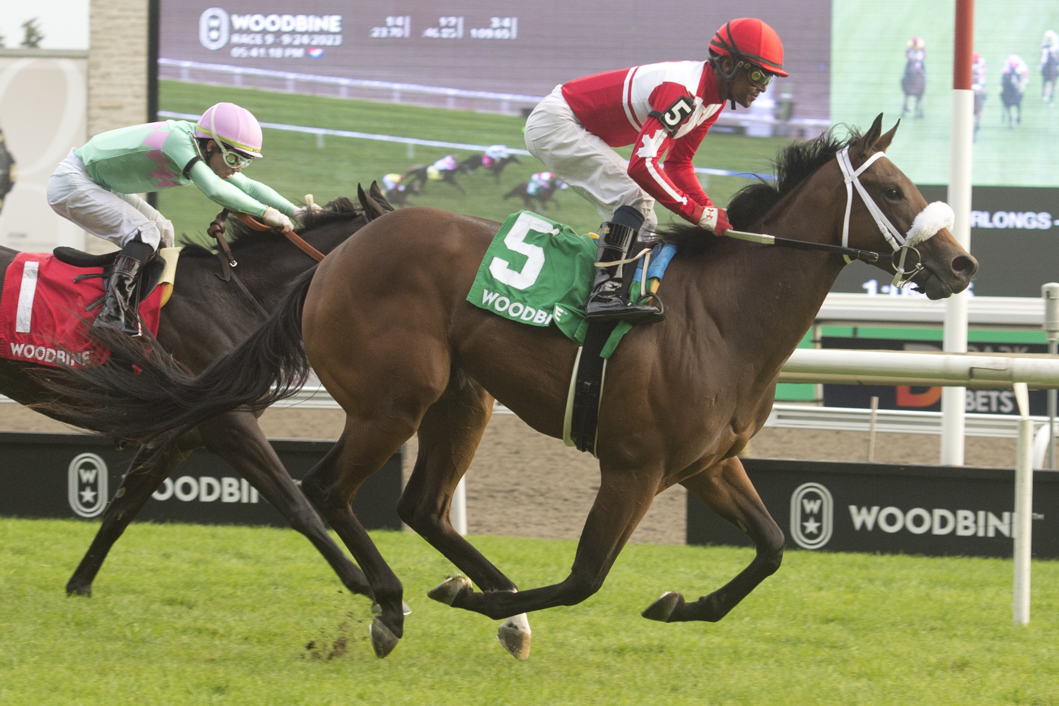 War Painter is the Queen of the Victorian Queen