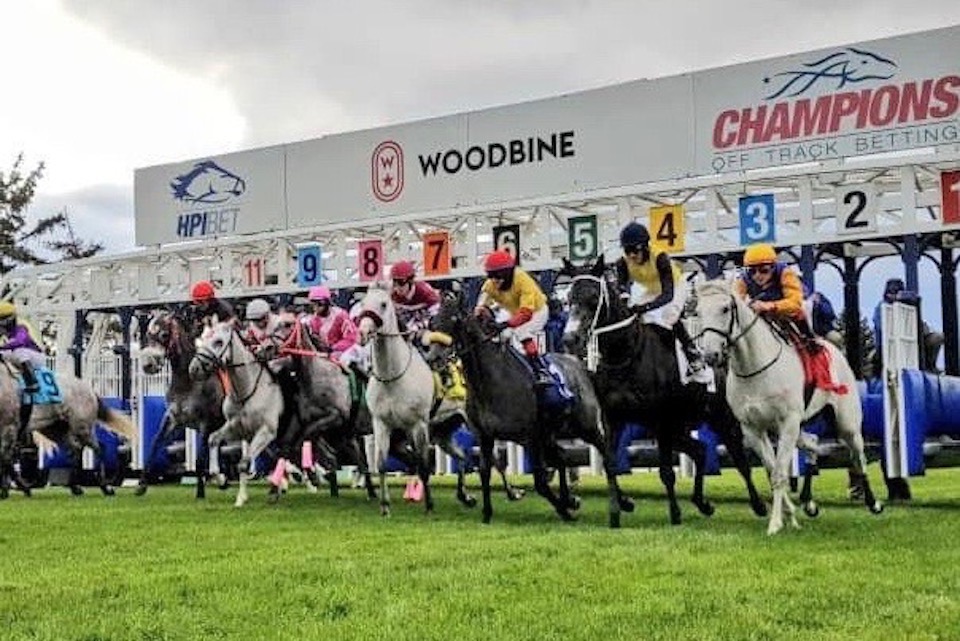 Handicapping Turf Races Ontario Racing