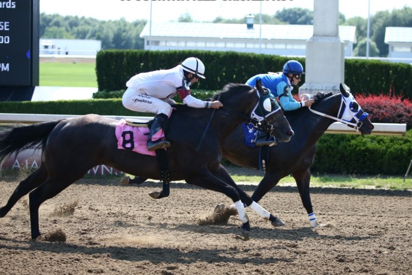 Competitive Field of 10 Set for $57,060 Ontario Bred Derby